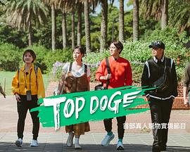 51吃瓜网官网《TOP DOG》免费在线观看