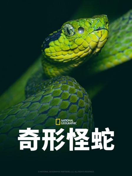 51吃瓜网黑料《奇形怪蛇》免费在线观看